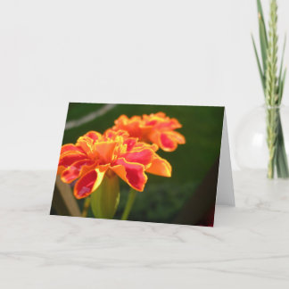 Passion Card