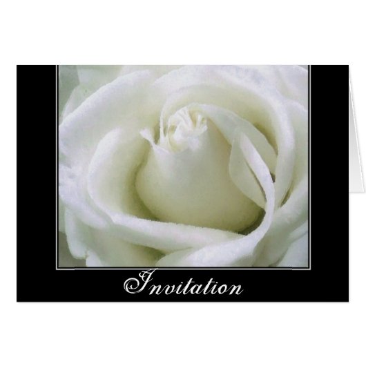 Passion _ cards (Front Horizontal)