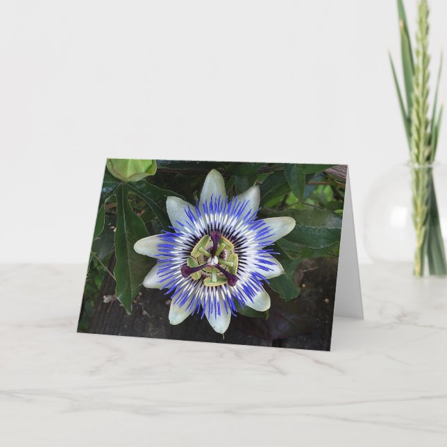 Passion Flower #2 Card (Front)