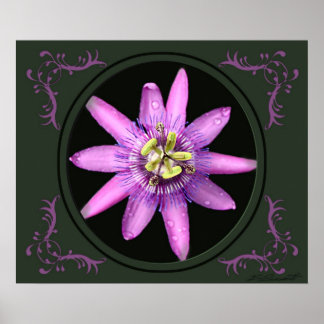 Passion Flower Art Print -24x20 -other sizes also