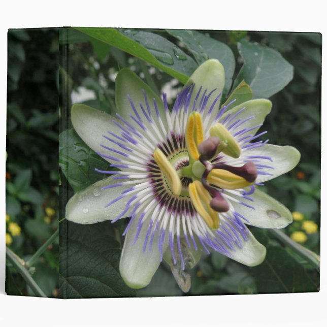 Passion Flower Avery Binder (Front/Spine)
