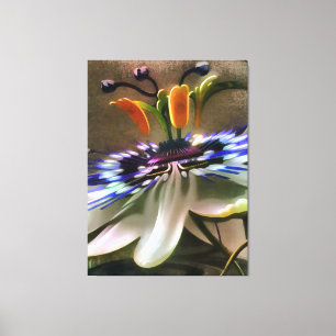 Passion Flower Blossom In Art Deco Abstract Style Canvas Print