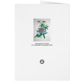 Passion Flower Botanical Art Cards (Back)