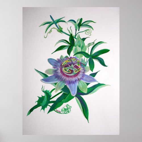 Passion Flower Botanical Art Poster