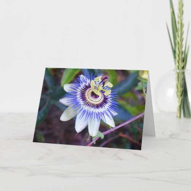 Passion Flower Card (Front)