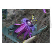 Passion flower card (Front Horizontal)