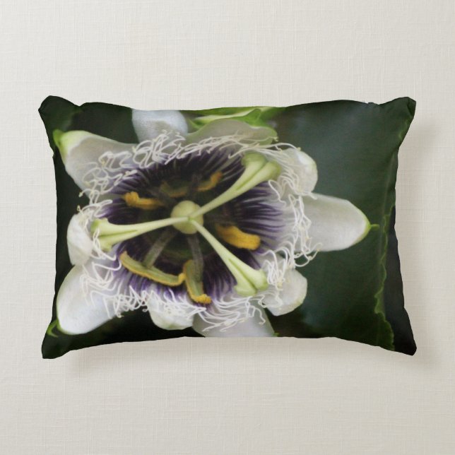 Passion Flower Closeup 2 Accent Pillow (Front)
