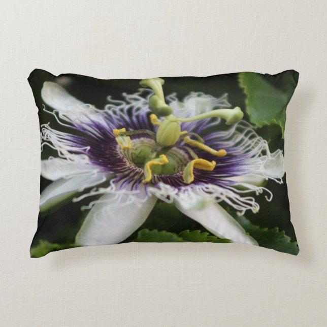 Passion Flower Closeup 3 Accent Pillow (Front)