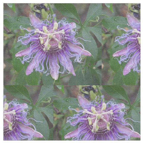 Passion Flower Fabric