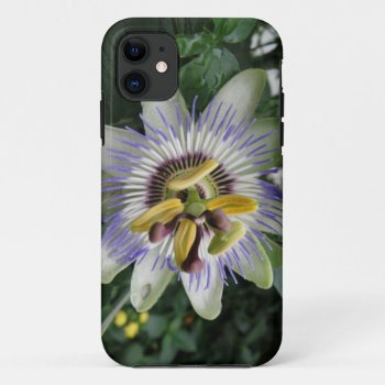 Passion Flower Iphone 5 Case by Fallen_Angel_483 at Zazzle