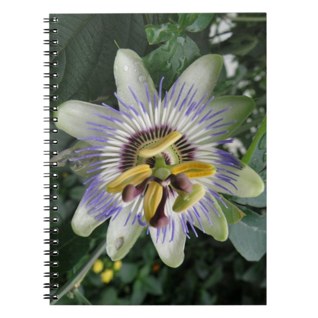 Passion Flower Notebook (Front)