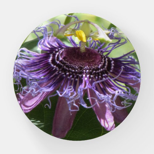 Passion Flower Paperweight