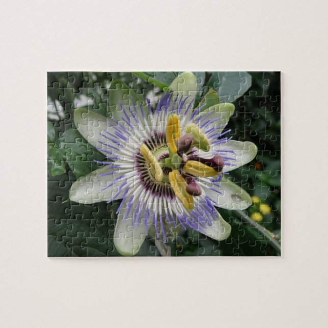 Passion Flower Puzzle (Horizontal)