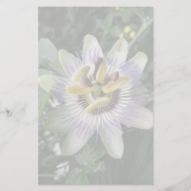 Passion Flower Stationery (Front)