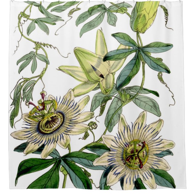 Passion Flower Vintage Print Shower Curtain (Front)