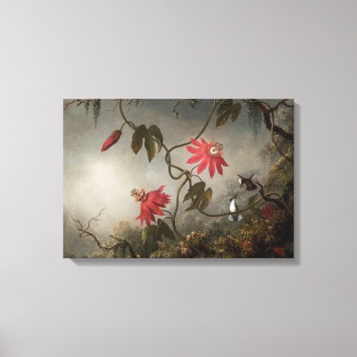 Passion Flowers and Hummingbirds by Martin Heade Canvas Print