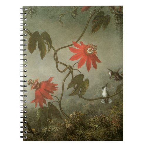 Passion Flowers and Hummingbirds by Martin J Heade Notebook