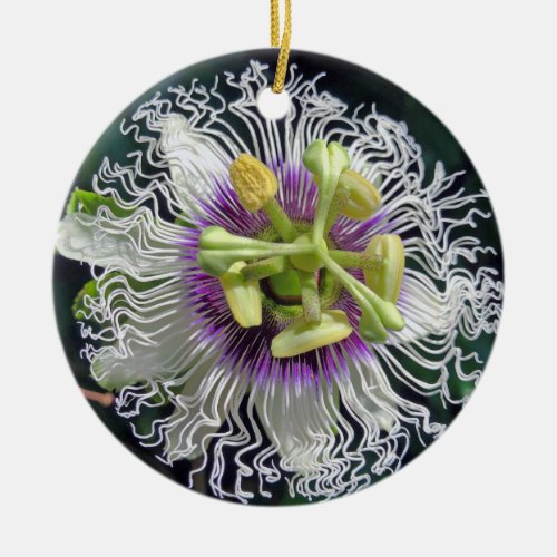 Passion Fruit Blossom Ceramic Ornament