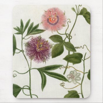 Passion Fruit Mousepad by Vintage_Obsession at Zazzle