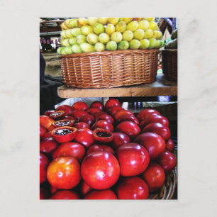 Passion Fruits Portugal Postcard