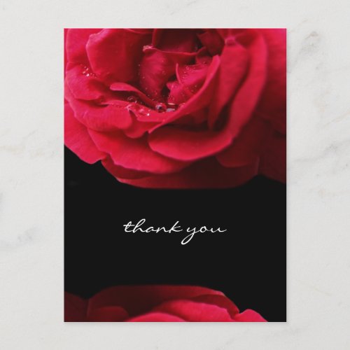 Passion Red Rose Thank You Postcard