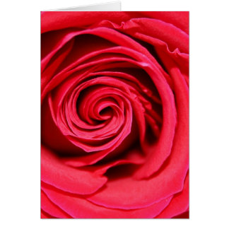 Passion Rose Cards