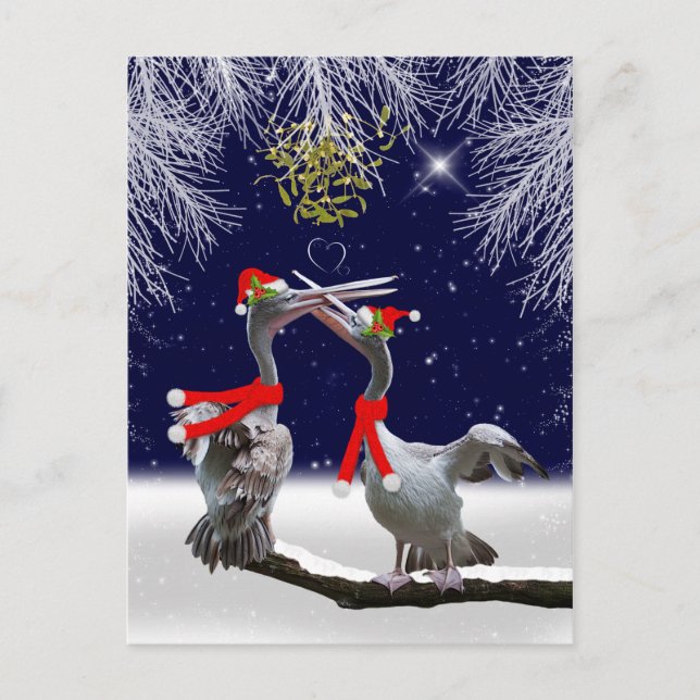 Passionate Pelicans Christmas Postcard (Front)