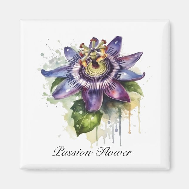  Passionate Purple Passion Flower Magnet (Front)