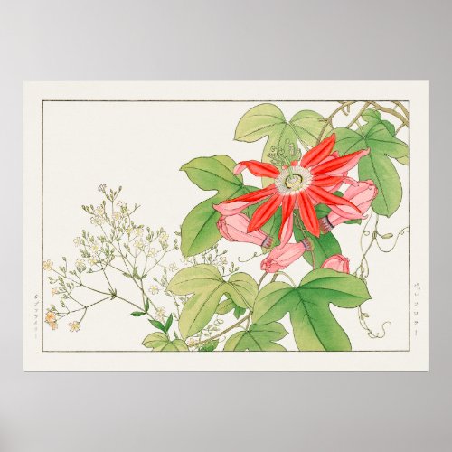 Passionflower and Babys Breath by Tanigami Konan Poster