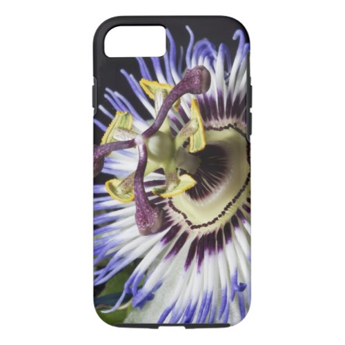 Passionflower close_up MR iPhone 87 Case