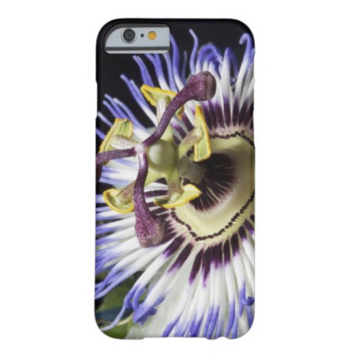 Passionflower close_up MR Barely There iPhone 6 Case