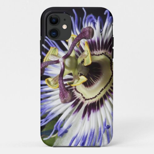 Passionflower close_up MR iPhone 11 Case