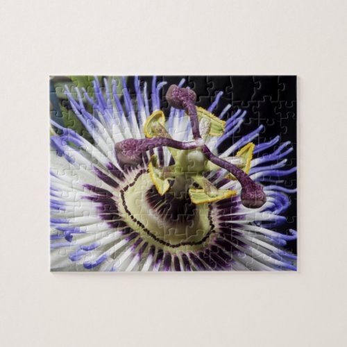 Passionflower close_up MR Jigsaw Puzzle