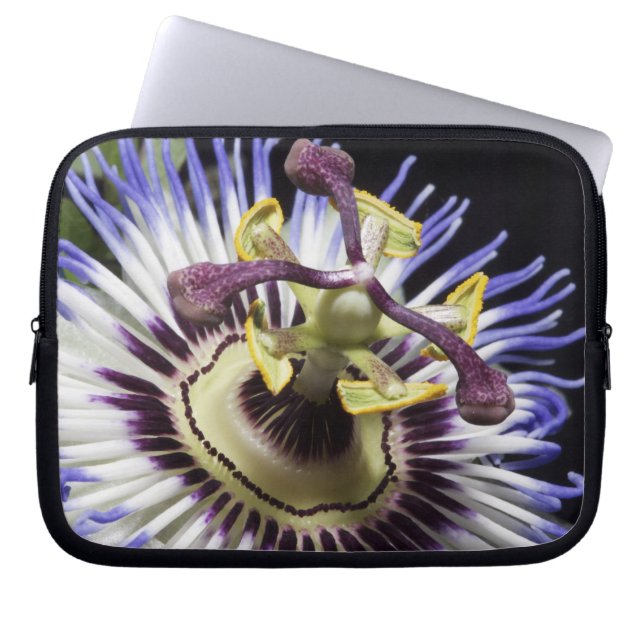 Passionflower close-up (MR) Laptop Sleeve (Front)