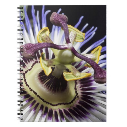 Passionflower close_up MR Notebook