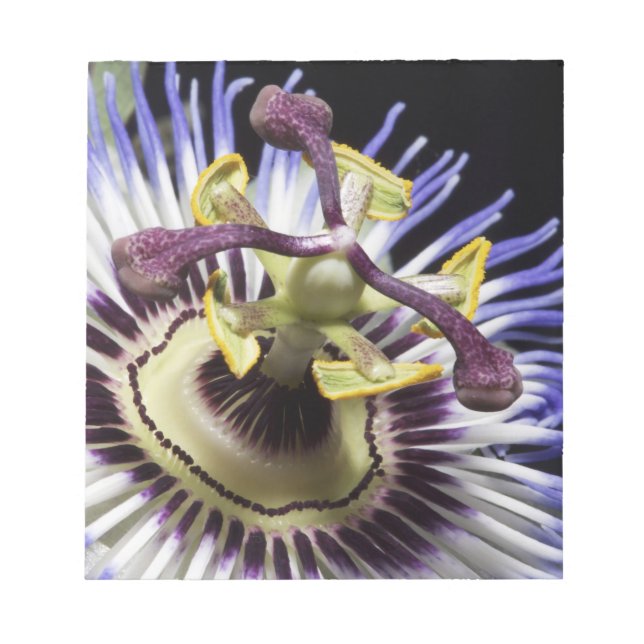 Passionflower close-up (MR) Notepad (Front)