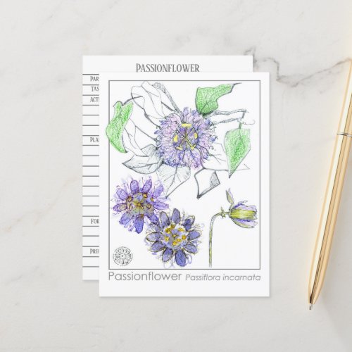 Passionflower Materia Medica Herbal Study Card