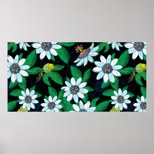 Passionflower, passiflora on a black background. F Poster