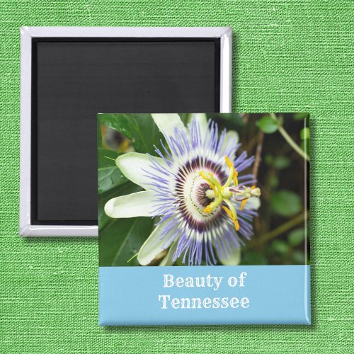 Passionflower Tennessee State Flower Magnet