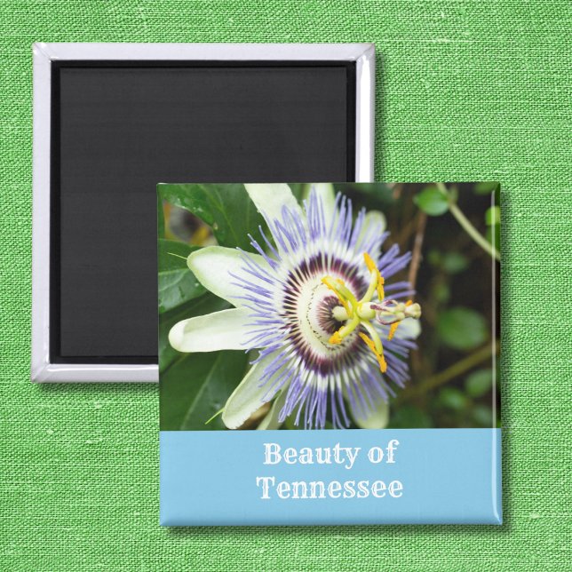 Passionflower Tennessee State Flower Magnet (Creator Uploaded)