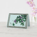 Passionflower Vine Card