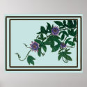 Passionflower Vine Print,  Poster (Semi-Gloss)