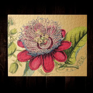 Passionflower Vintage Red Gold Illustration