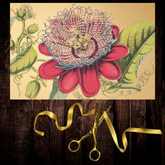 Passionflower Vintage Red Gold Illustration