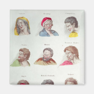 Passions, plate V, pub. by R. Edwards, London Magnet