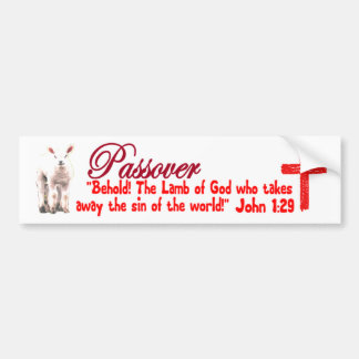 Passover Bumper Sticker
