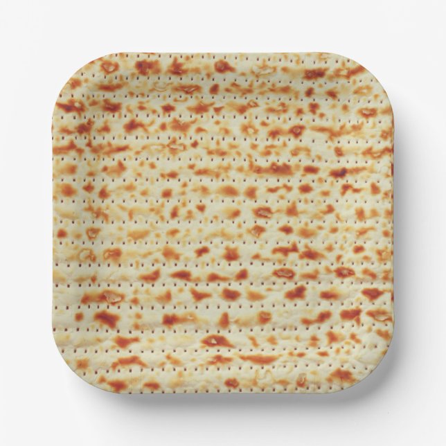 Passover Matzah decor Paper Plates (Front)