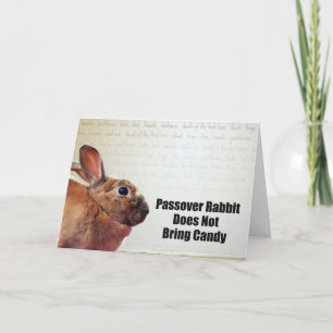 Passover Rabbit Does Not Bring Candy Card