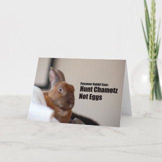 Passover Rabbit Says: Card
