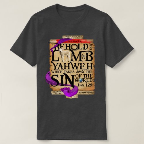 Passover T_shirt